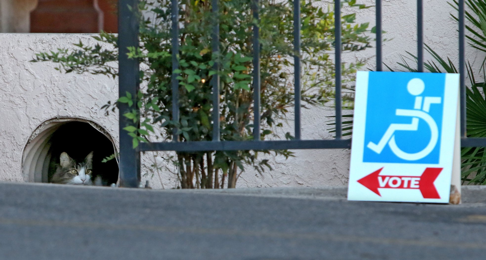 2016 Presidential Election Day in Tucson